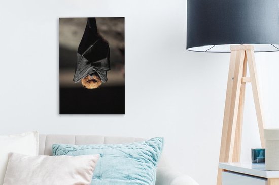 Toile de chauve-souris suspendue 20x30 cm - petit - Tirage photo sur toile (Décoration murale salon / chambre) / Peintures sur toile Animaux