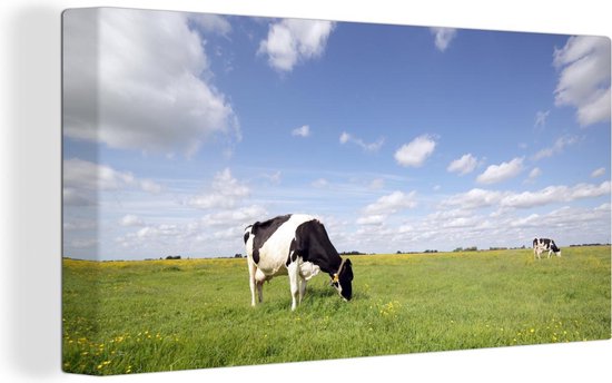 Canvas Schilderij Grazende koeien in een weiland - 40x20 cm - Wanddecoratie