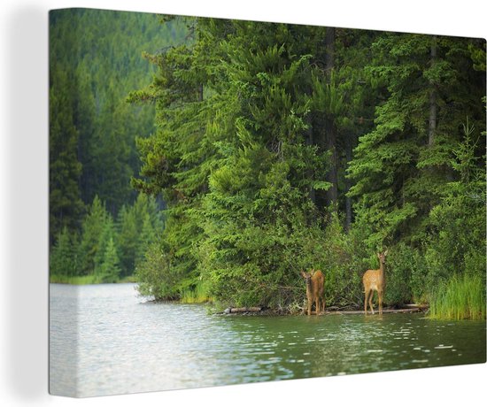 Elanden in het Nationaal park Banff in Noord-Amerika Canvas 140x90 cm - Foto print op Canvas schilderij (Wanddecoratie woonkamer / slaapkamer)