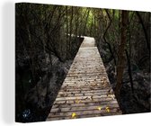 Canvas Schilderij Lege houten steiger die een weg vormt door het Nationaal park Mangroves - 60x40 cm - Wanddecoratie
