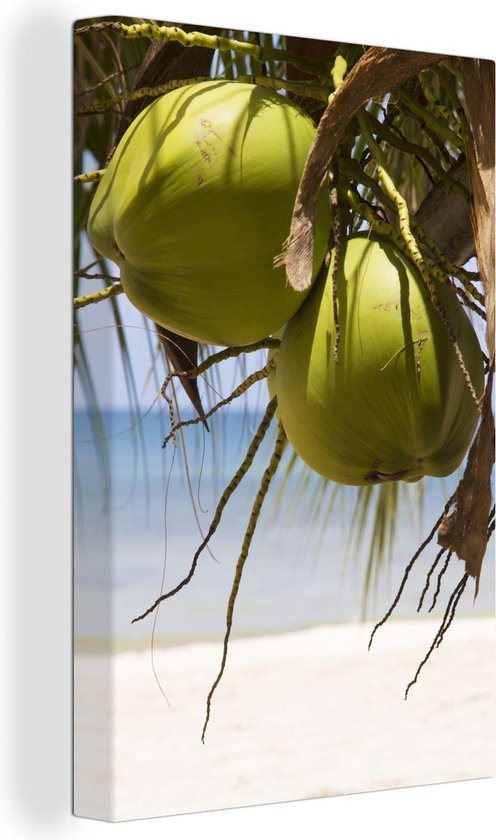Canvas Schilderij Twee kokosnoten op een tropisch strand onder de bladeren - 20x30 cm - Wanddecoratie