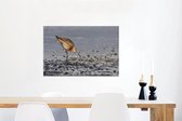 Canvas Schilderij Rosse grutto zoekt eten op het strand - 60x40 cm - Wanddecoratie