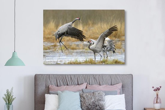 Grues européennes en eaux peu profondes Toile 180x120 cm - Tirage photo sur toile (Décoration murale salon / chambre) XXL / Groot format!