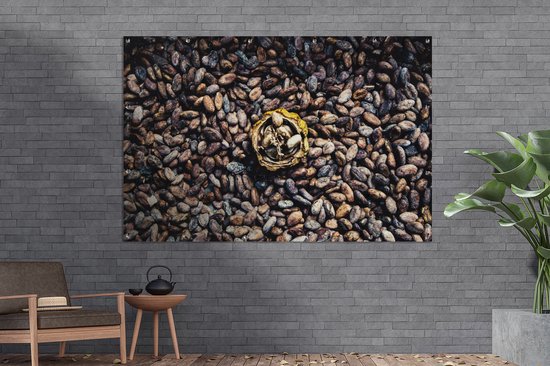 Gros plan de fèves de cacao foncées autour de la cosse Affiche de jardin 180x120 cm - Toile de jardin / Toile d'extérieur / Peintures d'extérieur (décoration de jardin) XXL / Grand format!