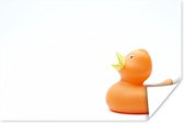 Poster Canard en caoutchouc - Oranje - Wit - 30x20 cm