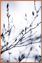JUNIQE - Poster met kunststof lijst Winter Branches 2 -13x18 /Wit &