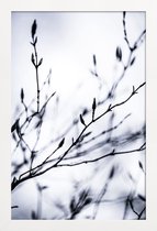 JUNIQE - Poster in houten lijst Winter Branches 2 -20x30 /Wit & Zwart
