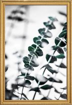 JUNIQE - Poster met houten lijst Eucalyptus 1 -40x60 /Groen & Wit