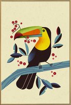 JUNIQE - Poster met kunststof lijst Toucan II -30x45 /Kleurrijk