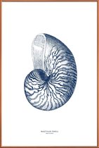 JUNIQE - Poster met kunststof lijst Nautilus Shell II -20x30 /Blauw &