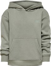 KIDS ONLY KONEVERY LIFE SMALL LOGO HOODIE PNT NOOS Meisjes Trui - Maat 146