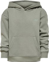 KIDS ONLY KONEVERY LIFE SMALL LOGO HOODIE PNT NOOS Meisjes Trui - Maat 134