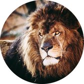 Koning leeuw - Foto op Behangcirkel - ⌀ 150 cm