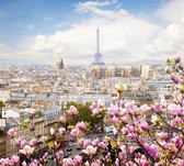 Kersenbloesem in bloei voor de skyline van Parijs - Fotobehang (in banen) - 450 x 260 cm