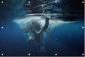 Olifant Onderwater - Foto op Tuinposter - 225 x 150 cm