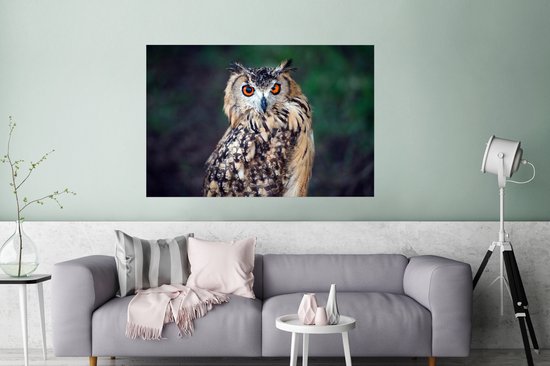 Poster Eagle Owl 150x75 cm - Tirage photo sur Poster (décoration murale salon / chambre) / Poster Animaux
