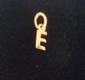 Robimex Collection Zilveren hanger gold letter  E