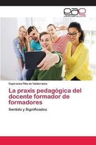 La praxis pedagógica del docente formador de formadores