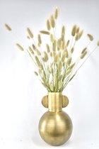 Hazenstaartje MET VAAS | Droogbloemen  | Natuurlijk Bloemen |70 cm