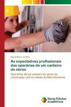 As expectativas profissionais das operarias de um canteiro de obras