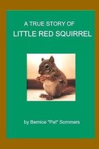 A True Story of Little Red Squirrel