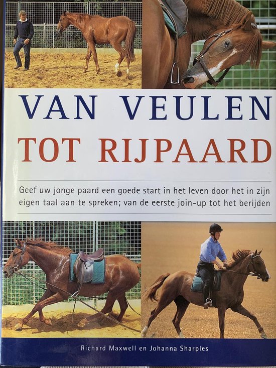 Van veulen tot rijpaard - cover