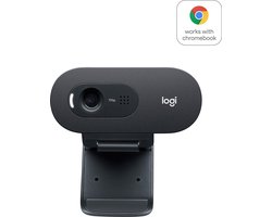 Logitech C505 - Webcam - HD Webcam