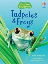 Beginners Tadpoles & Frogs