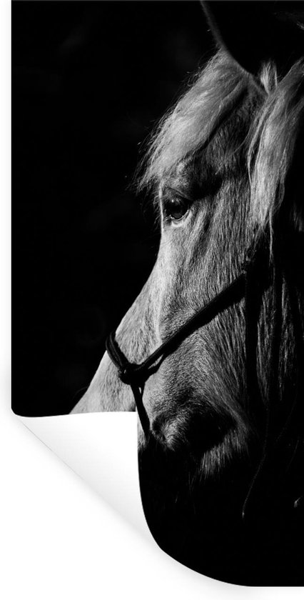 Sticker Muursticker Cheval sur fond noir - Cheval New Forest - 80x160 cm - film autocollant - sticker mural repositionnable