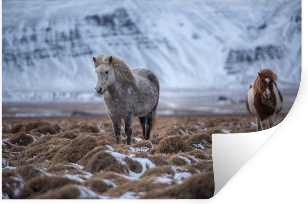 Muurstickers - Sticker Folie - IJsland - Paarden - Sneeuw - 120x80 cm - Plakfolie - Muurst