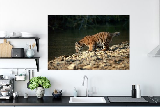 Sticker Muursticker Bébé tigre - bébé tigre - 120x80 cm - film adhésif autocollant - sticker mural repositionnable