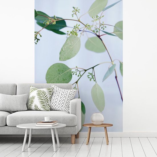 Papier peint Papier peint photo en vinyle - Branches d'eucalyptus avec feuilles largeur 190 cm x hauteur 280 cm - Tirage photo sur papier peint (disponible en 7 tailles)