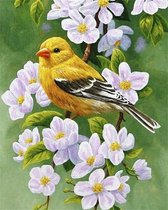 Denza - Diamond painting gele vogel met bloemen 40 x 50 cm volledige bedrukking ronde steentjes- direct leverbaar - nieuw - vlak - vogel - parkiet - bomen - tak - natuur