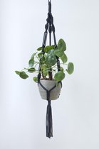 Macramé plantenhanger- zwart - hoge kwaliteit - sfeervol - Handgemaakt in NL van gerecycled Oeko-tex katoen - Lengte 90 cm -