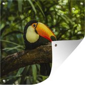 Affiche de jardin Toucan géant sur une branche 50x50 cm - petit - Toile de jardin / Toile d'extérieur / Peintures pour l'extérieur (décoration de jardin)