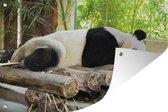 Tuinposter - Tuindoek - Tuinposters buiten - Panda - Bamboe - Slapen - Balken - 120x80 cm - Tuin