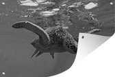 Tuindecoratie Schildpad duikt in water in zwart-wit - 60x40 cm - Tuinposter - Tuindoek - Buitenposter