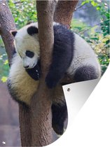 Muurdecoratie buiten Panda - Takken - Boom - 120x160 cm - Tuindoek - Buitenposter