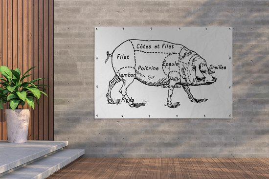 Ancienne illustration du boucher diagramme du cochon affiche de jardin toile en vrac 180x120 cm - Toile de jardin / Toile d'extérieur / Peintures d'extérieur (décoration de jardin) XXL / Groot format!