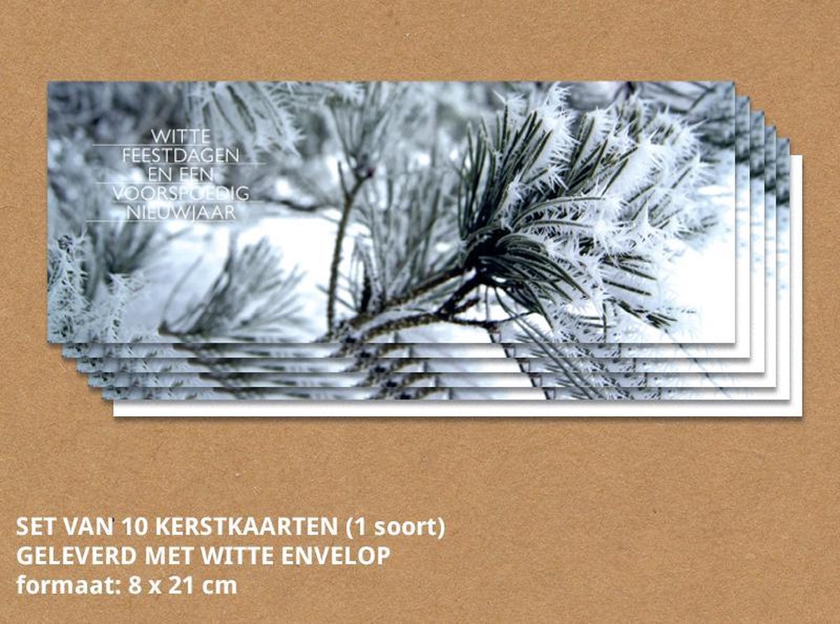 Luxe kerstkaarten met enveloppen, Sneeuwlandschap - 10 stuks