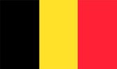 Belgische vlag raamsticker - Voetbal sticker - Rode duivels sticker - 25 x 15 cm - 4 stuks - Afneembaar
