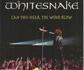Whitesnake can you hear the wind blow cd-single