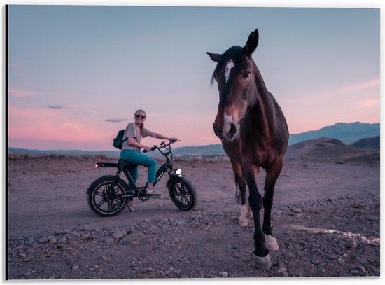 Dibond - Vrouw met Paard op Berg - 40x30cm Foto op Aluminium (Met Ophangsysteem)