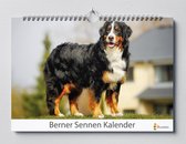 Berner Sennen verjaardagskalender | Berner Sennen Hond kalender | Verjaardagskalender Volwassenen