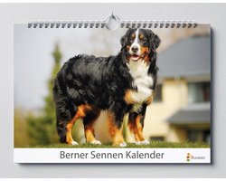 Berner Sennen verjaardagskalender - 35x24cm