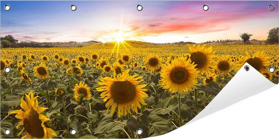 Tuinposter Zonnebloemen (Zonnebloemveld) 100 x 50 cm incl. Metalen ringen - (Buitenposter - Tuindoek - Buitencanvas - Schilderijen voor buiten - tuin decoratie)