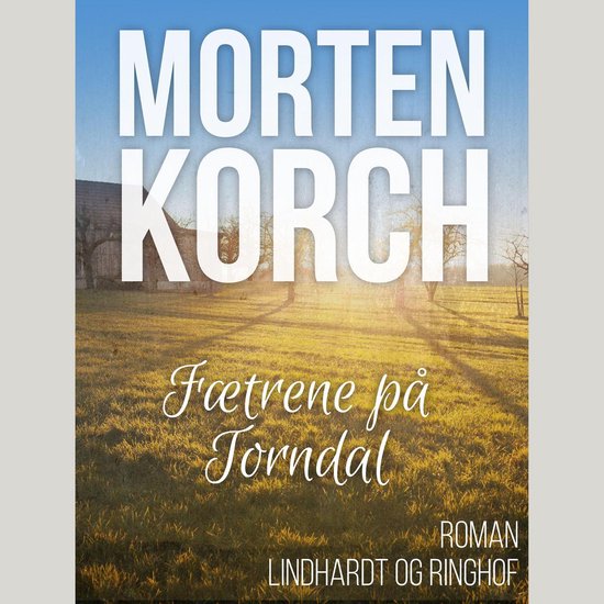 Fætrene på Torndal - cover