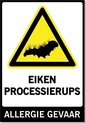 Waarschuwing Eiken Processierups