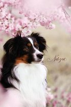 Notizen: Notiz - Australian Shepherd - Hund - Hunderasse - Tierarzt - Tagebuch - M�dchen - Frauen - Hundesport