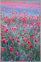 JUNIQE - Poster met kunststof lijst Poppy Seed Heaven -40x60 /Groen &